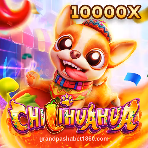 Fachai Chihuahua Portrait Oyunu